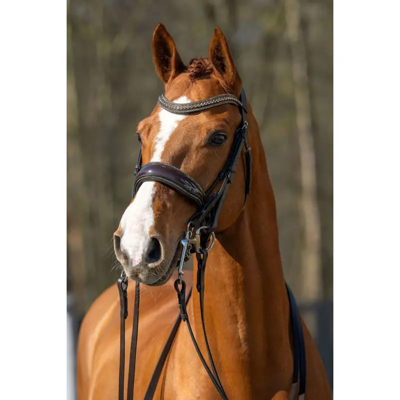 Hb Showtime One In A Million Bridle Brown/Gold Glitter 1