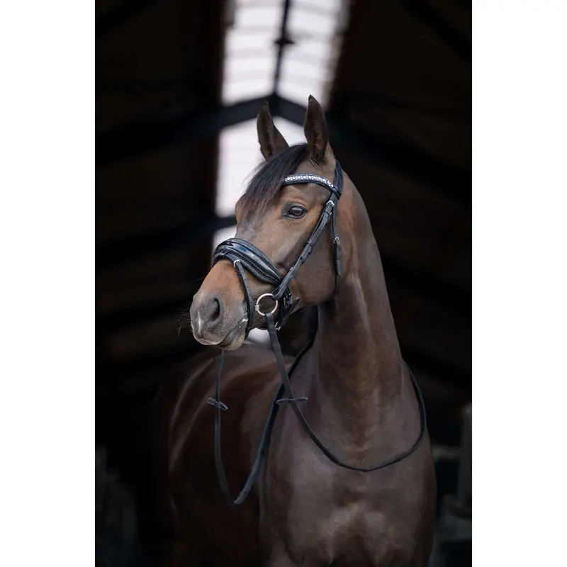 Hb Showtime Stockholm Bridle – Black/Black 1