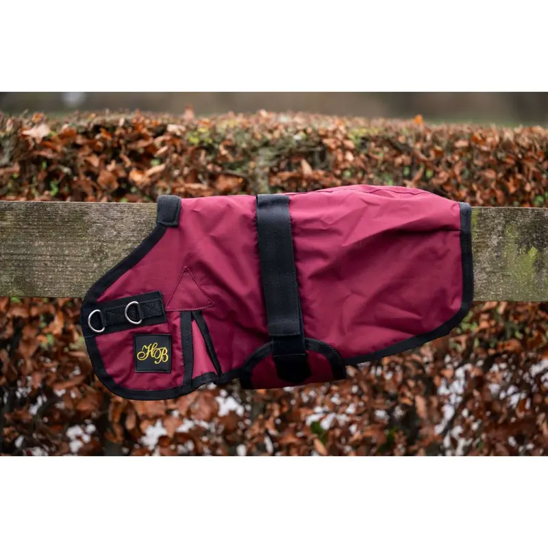 Hb Ukki Bordeaux Foal Blanket 1