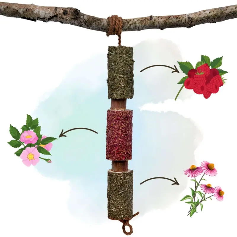 Herbie Herbal Wooden Chew Toy – Immune Support 1