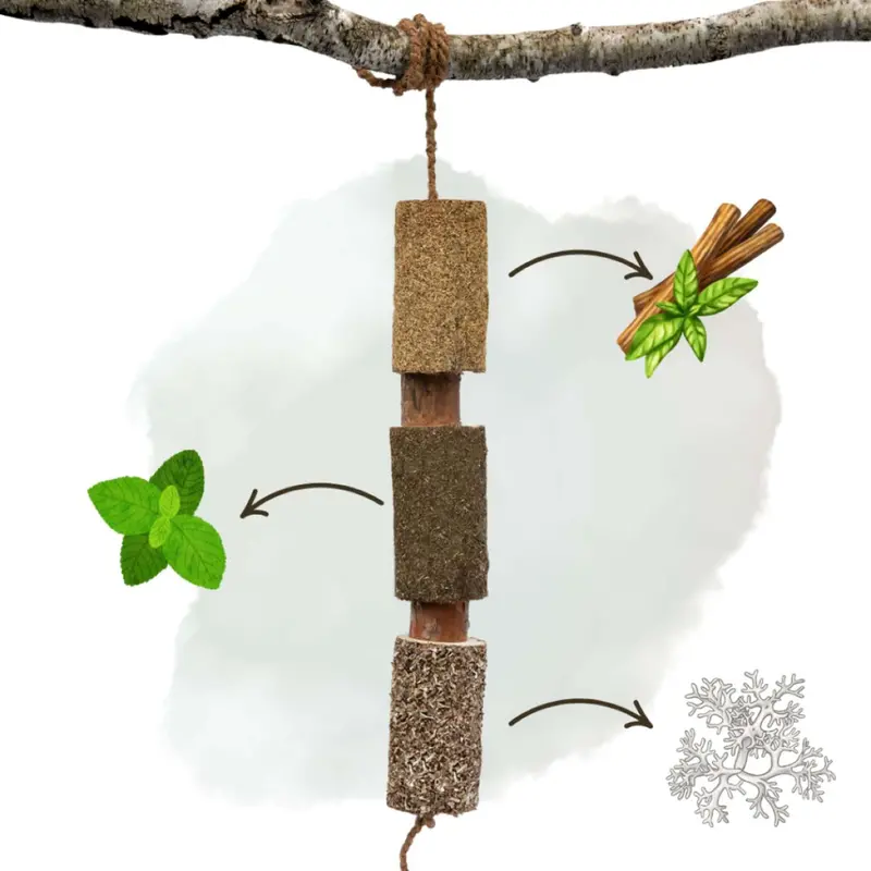 Herbie Herbal Wooden Chew Toy – Regeneration Formula 1