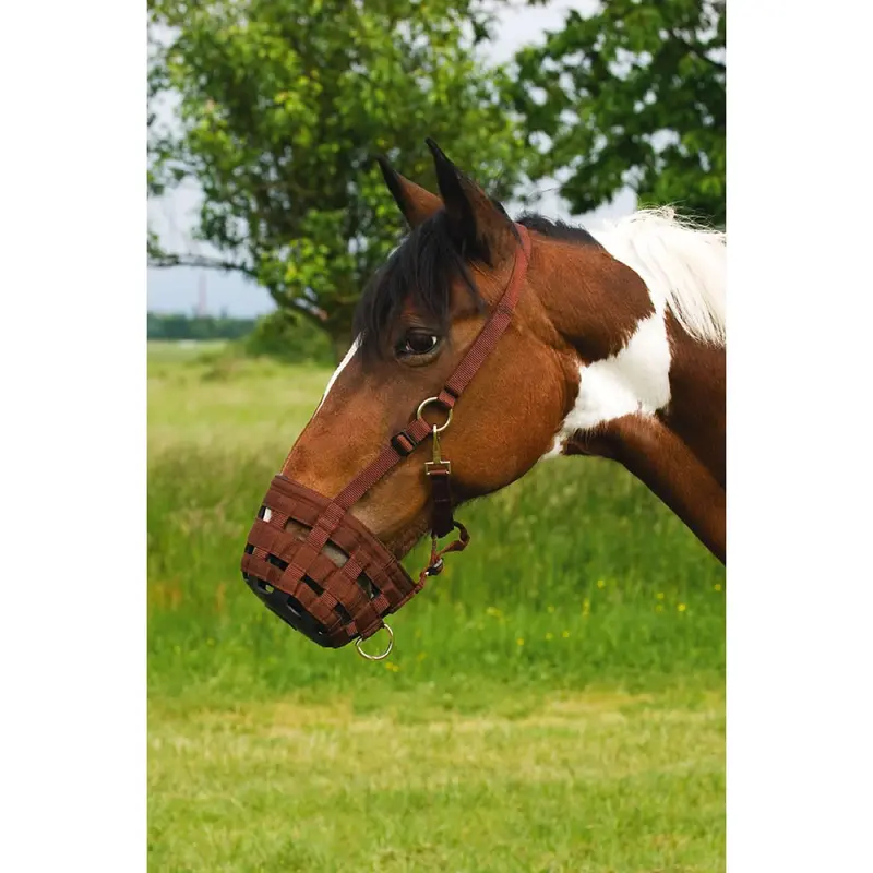 Hippotonic Chocolate Nylon Anti-Colic Muzzle – Breathable Fit 1