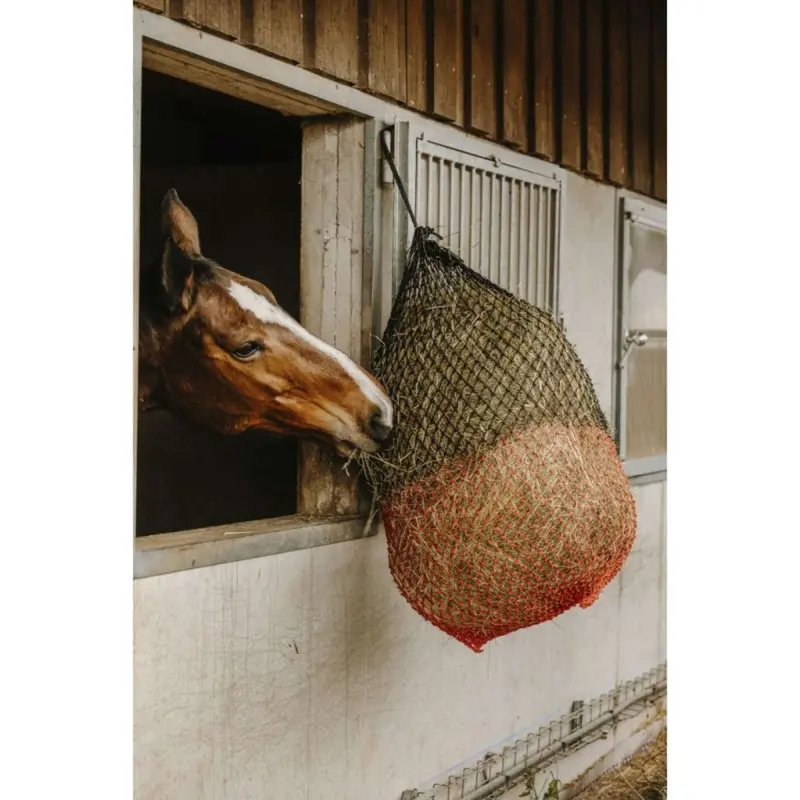 Hippotonic Fine-Mesh Hay Net In Black And Red 1