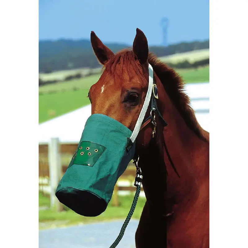 Hippotonic Green Canvas Equestrian Tote Bag 1