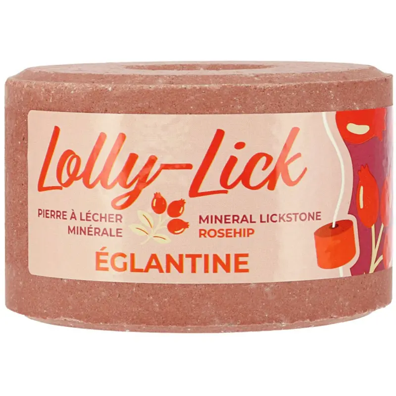 Hippotonic Lolly-Lick Glossy Coat Enhancer 1