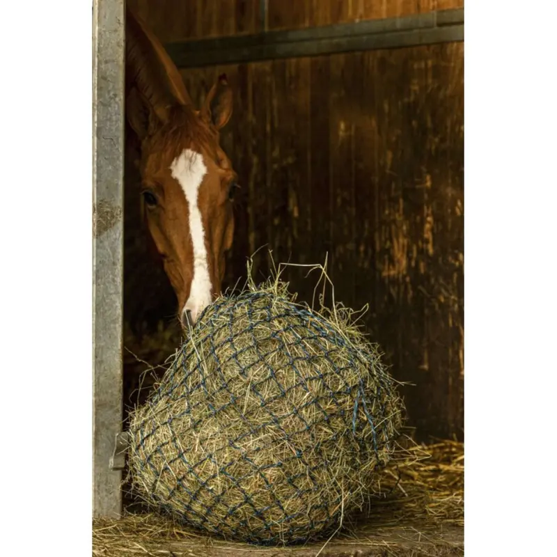 Hippotonic Zari Hay Net In Green And Silver 1