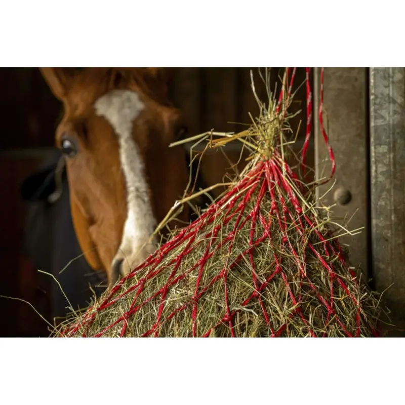 Hippotonic Zari Hay Net In Red And Silver 1