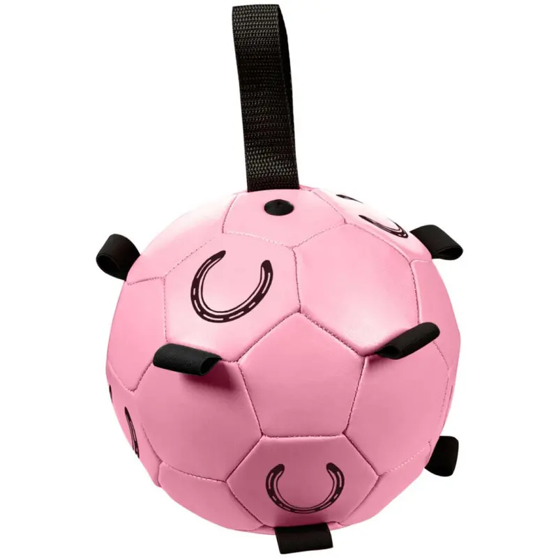 Hkm Fun Pink Exercise Ball For Horses 1