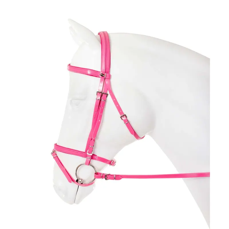 Horka Pvc Flashy Bridle In Rose 1