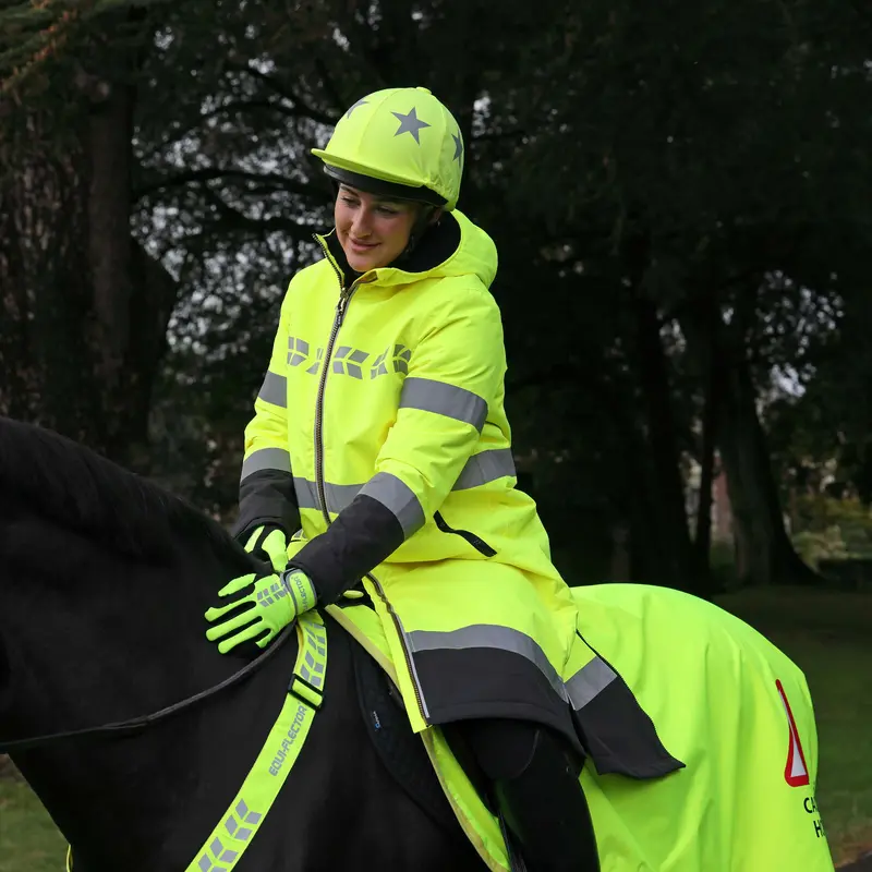 Horse Reflective Safety Set For Low-Light Visibility 1