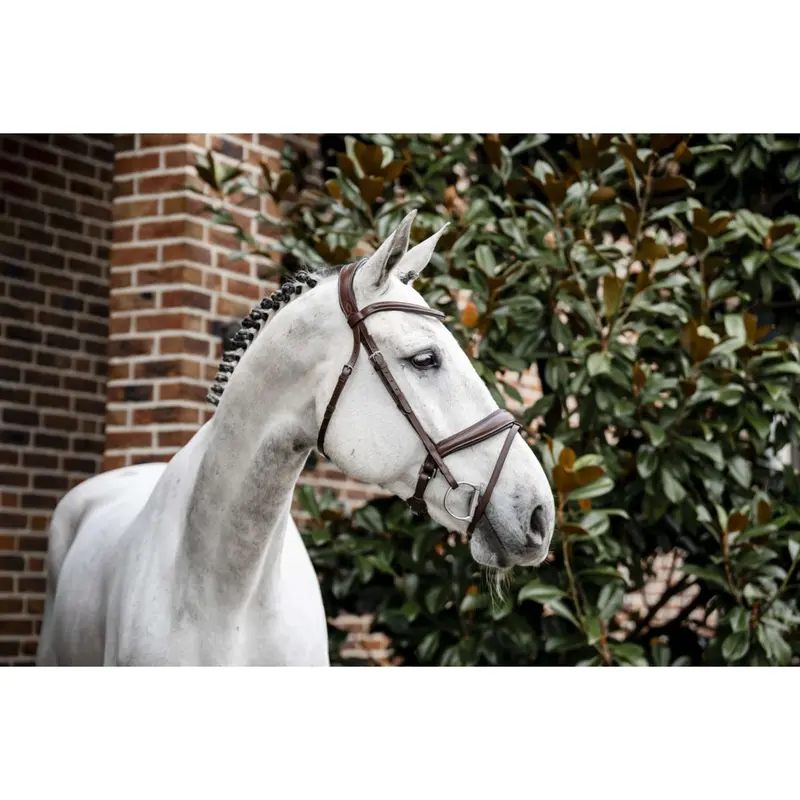 Horseware Bride Pony Flash Noseband – Brown 1