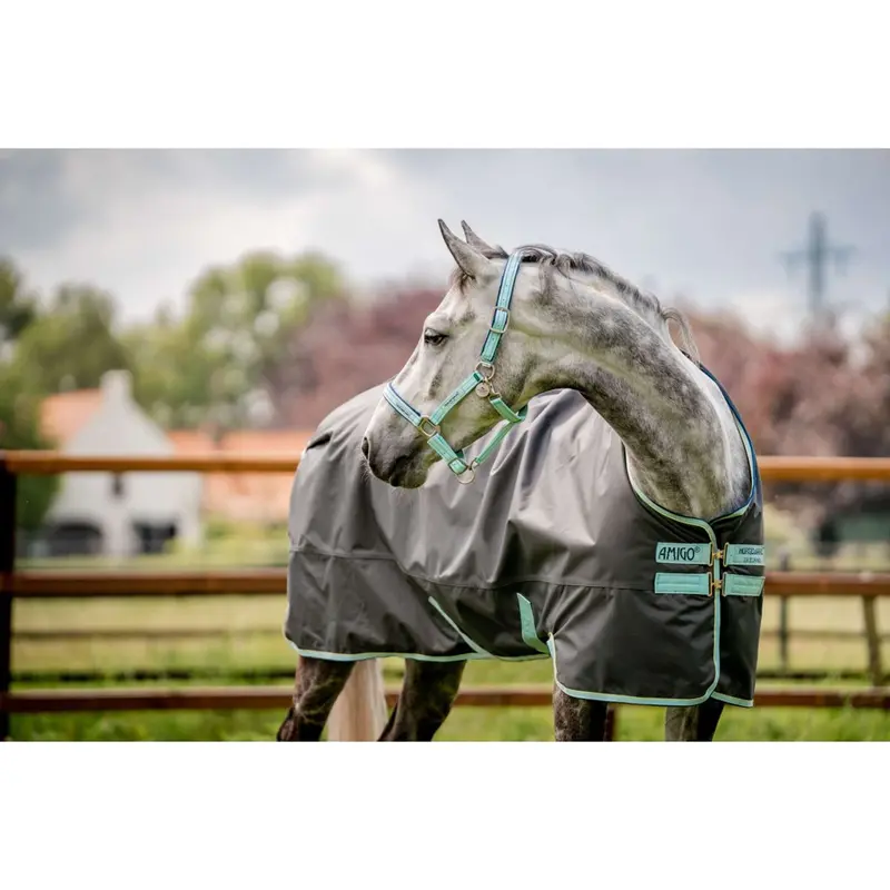 Horseware Field Safe Bridle – Blue Haze 1