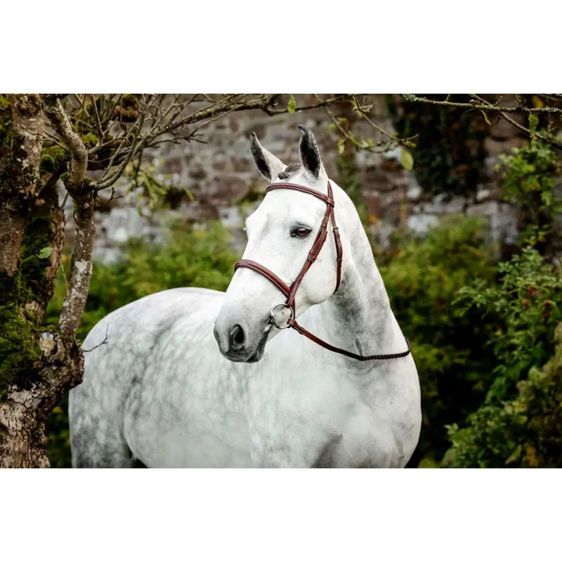 Horseware Hunter Cavesson Bridle – Dark Tan With Reins 1