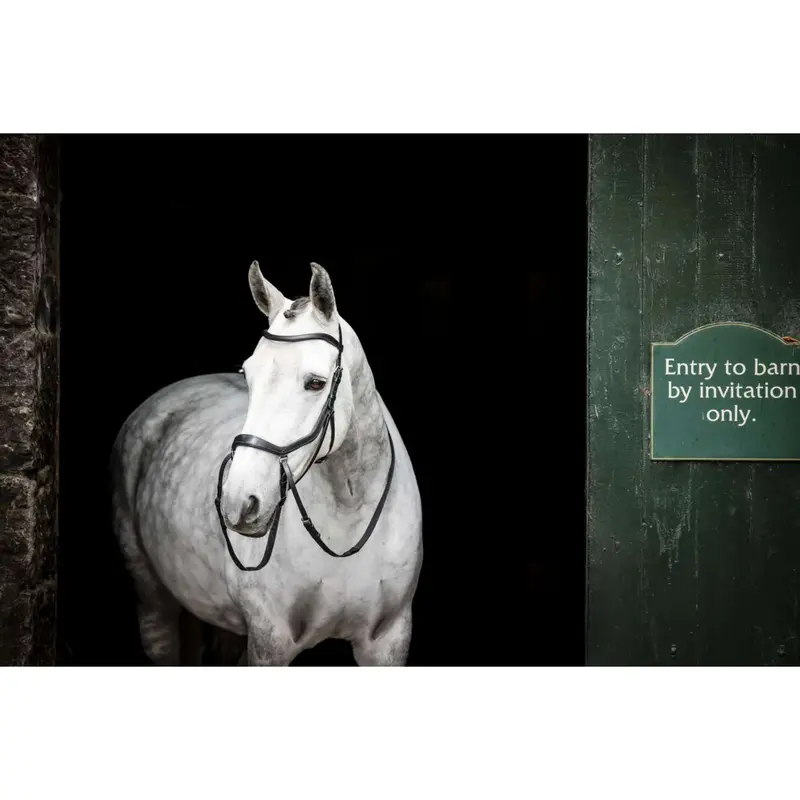 Horseware Micklem Bitless Bridle In Black 1