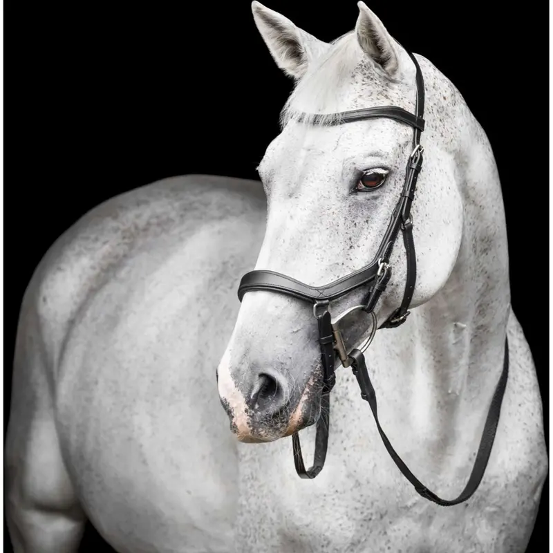 Horseware Micklem Competition Bridle – Black Leather 1