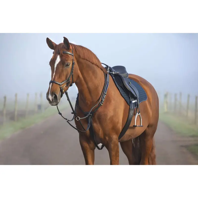 Horseware Micklem Hunting Bridle With Martingale – Black 1