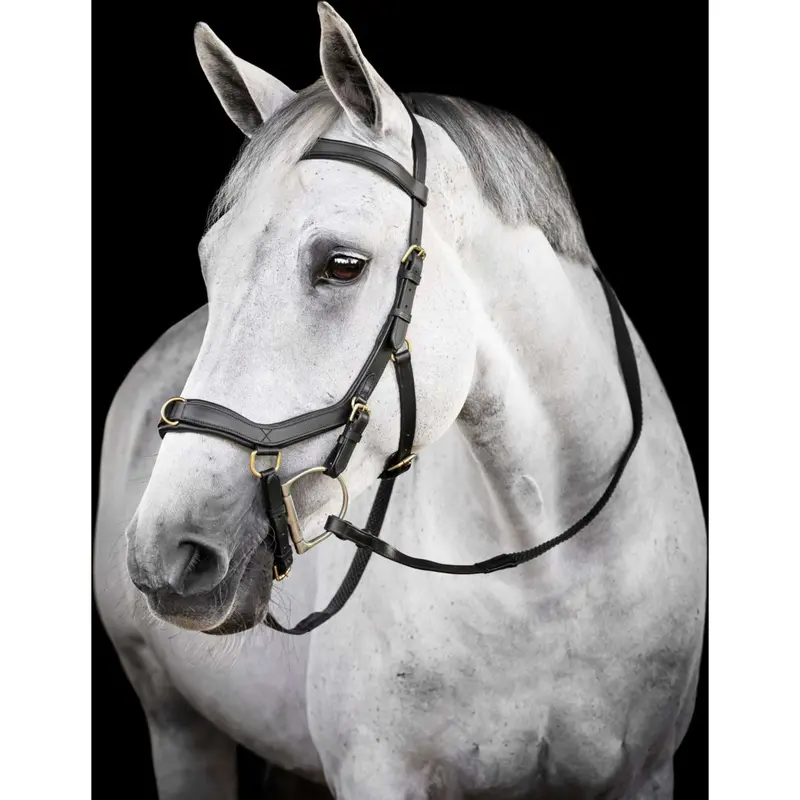 Horseware Micklem Multi-Adjustable Bridle – Black 1