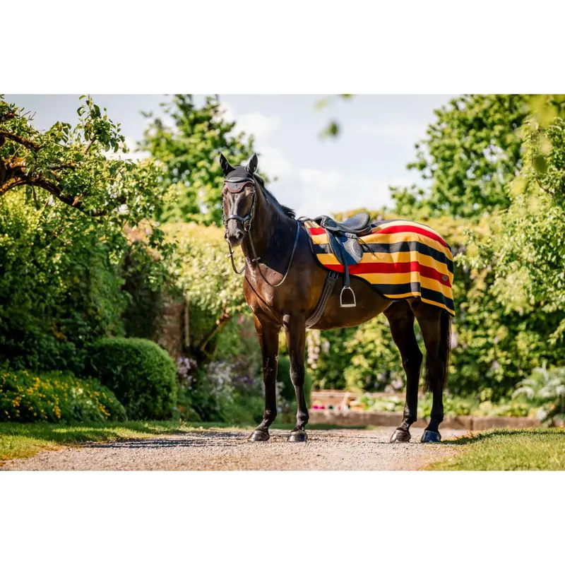Horseware Newmarket Witney Quarter Sheet In Gold 1