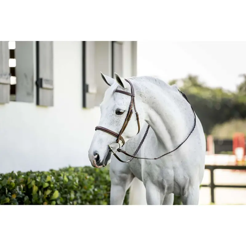 Horseware Pony Hunter Cavesson Bridle With Reins In Dark Tan 1