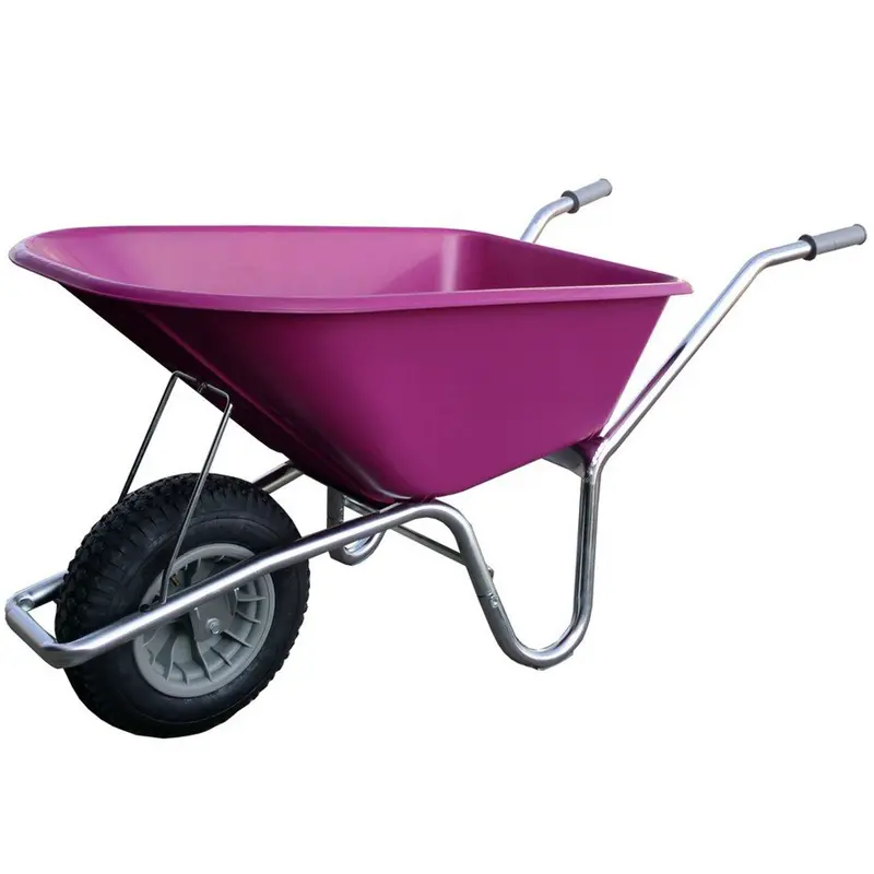 Hummer Fuchsia Wheelbarrow 1
