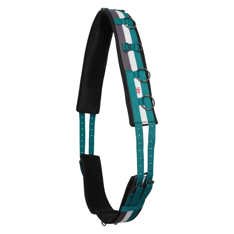 Imperial Riding Deluxe Longe Surcingle Ocean Blue 1