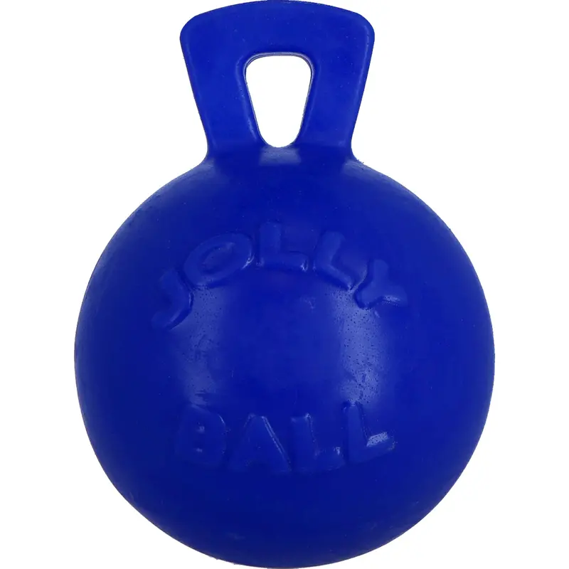 Jolly Pets Dual-Species Chew Ball – Blue 1