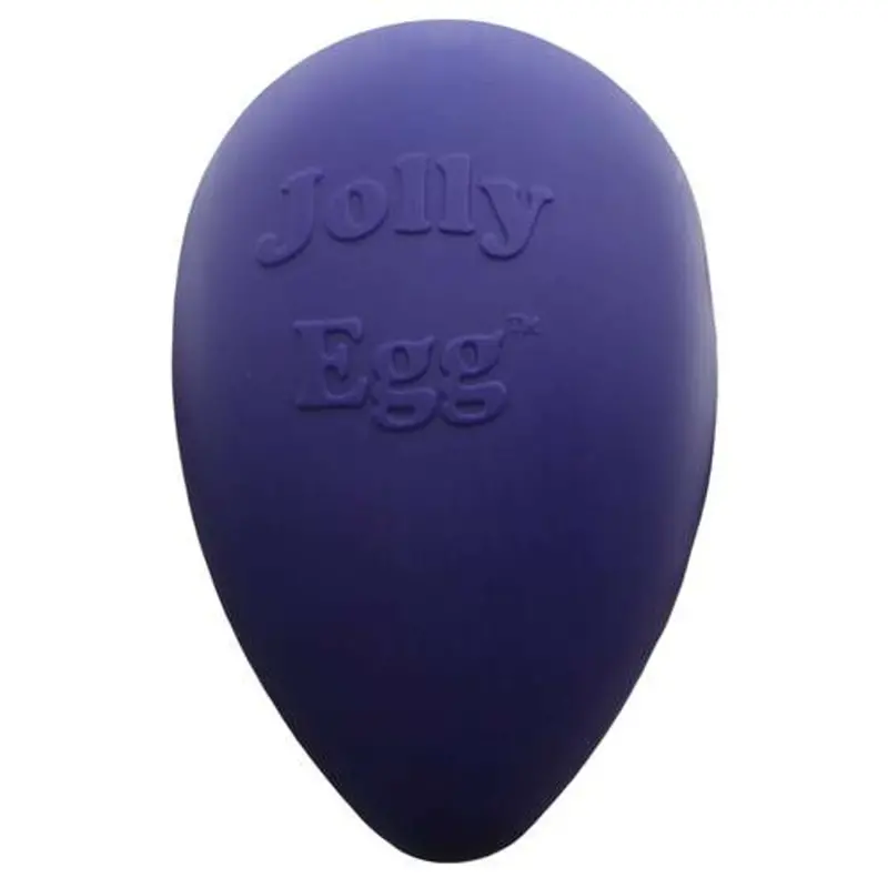 Jolly Pets Egg-Shaped Chew Toy – Violet 1