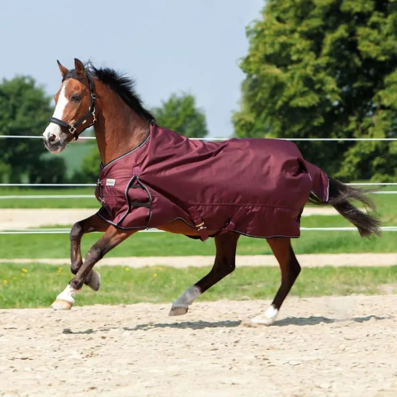 Kavalkade Alaska Iv Lightweight Turnout Blanket In Burgundy (100G) 1
