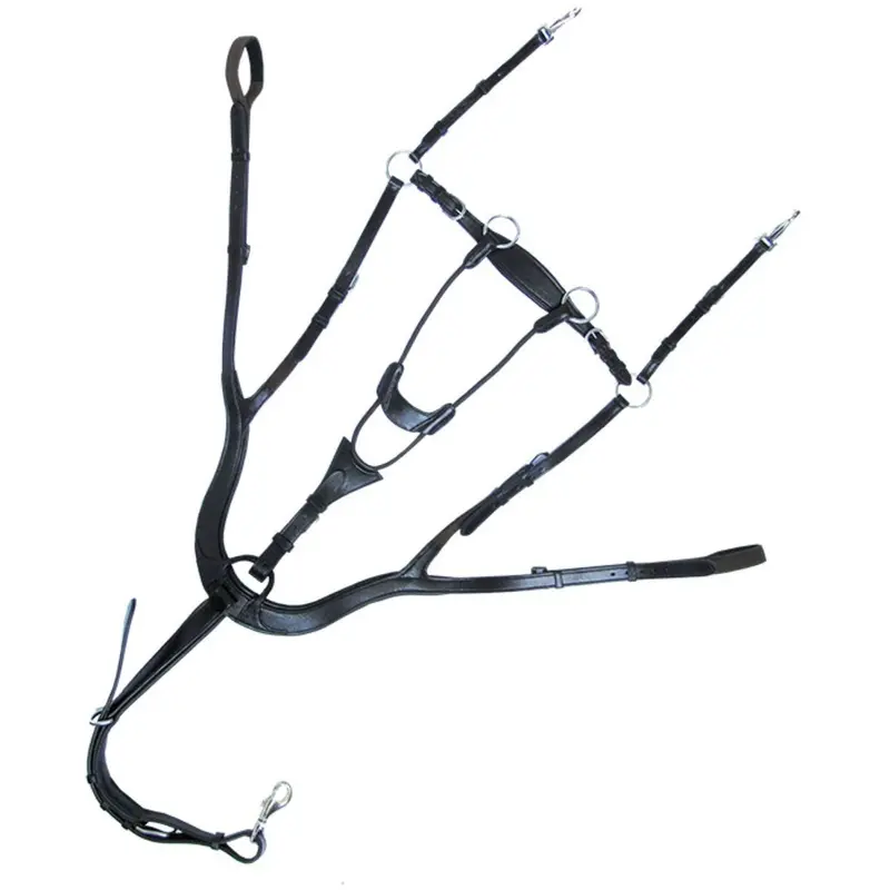 Kavalkade Caya Black Hunting Collar 1