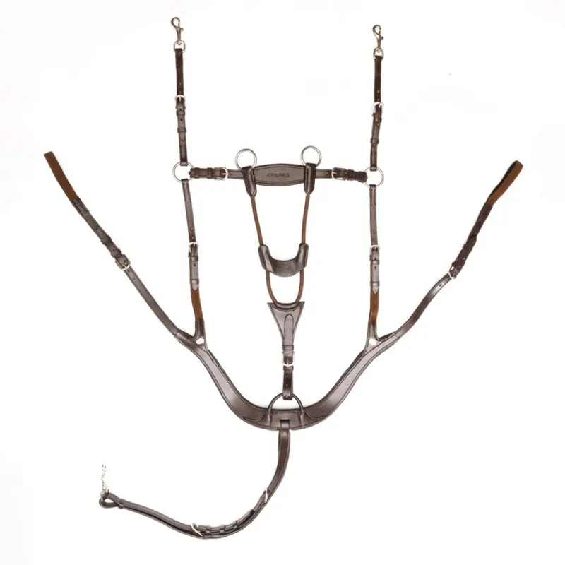 Kavalkade Caya Brown Hunting Collar 1