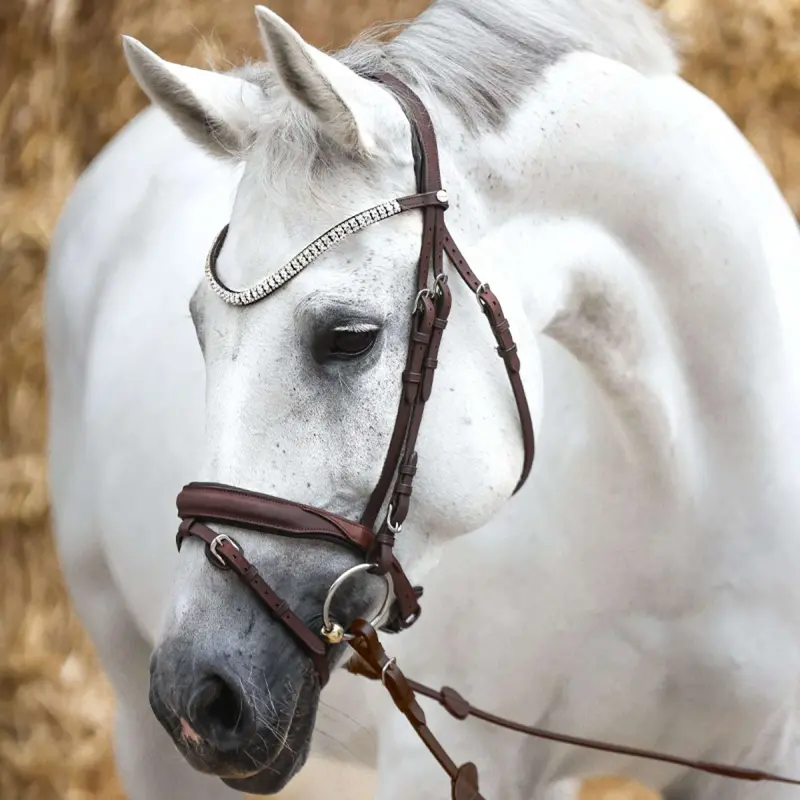 Kavalkade Everness Bridle – Brown 1
