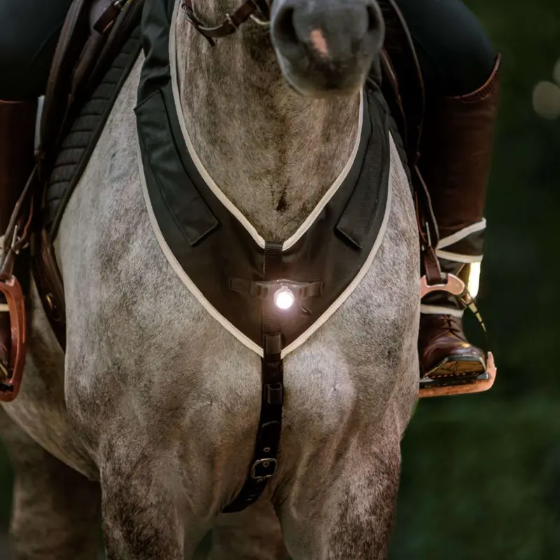 Kavalkade Horselight Hunt Collar – Black/Grey 1