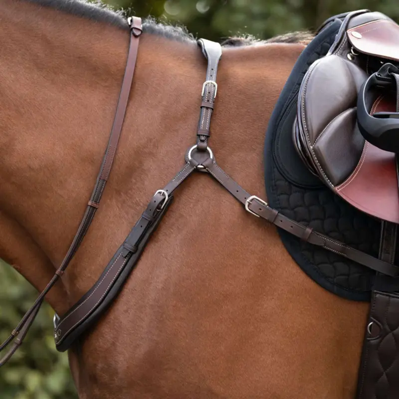 Kavalkade Jerome 2-Point Hunt Collar – Brown 1
