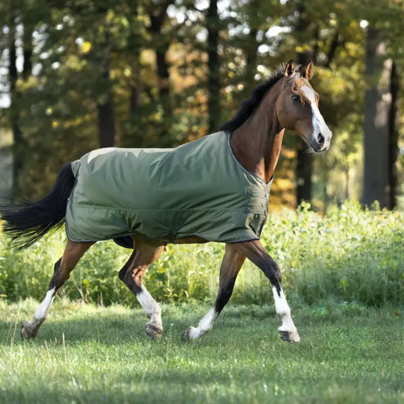 Kavalkade Montreal Medium-Weight Turnout Blanket In Green (200G) 1