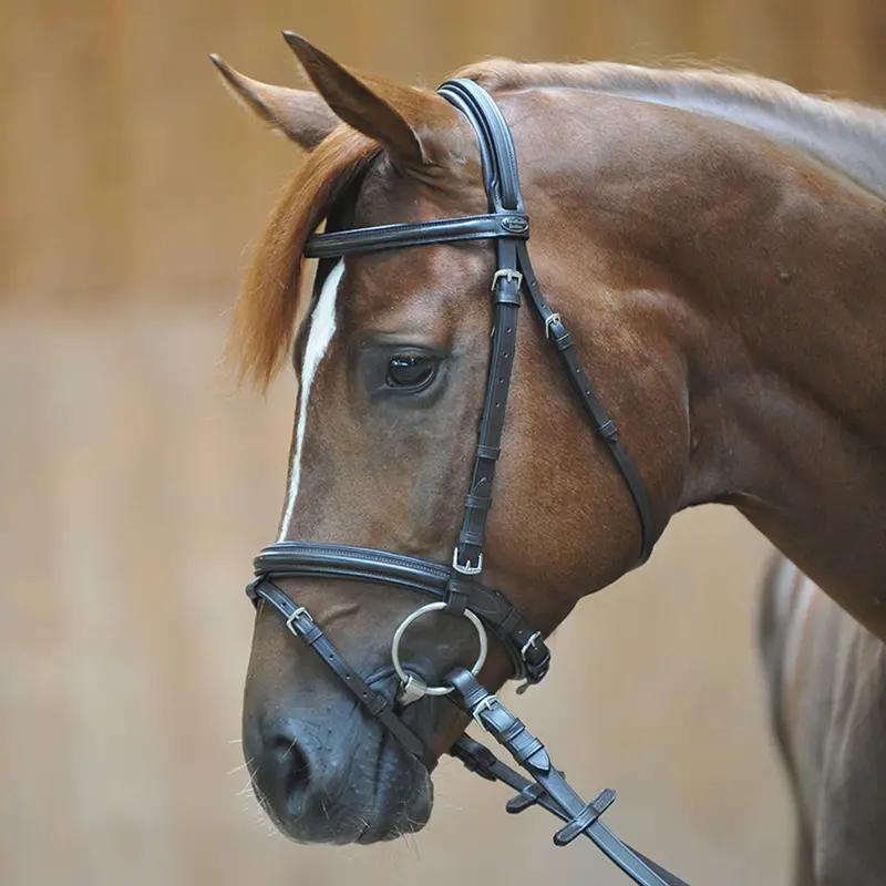 Kavalkade Quentin English Bridle – Black Combined Style 1