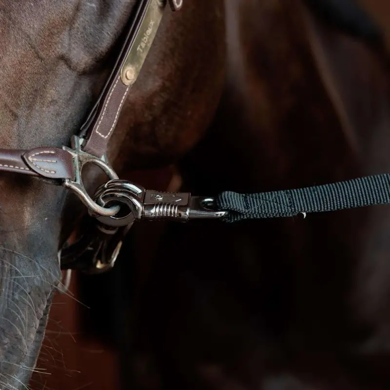 Kentucky Safety Lead Rope In Black 1