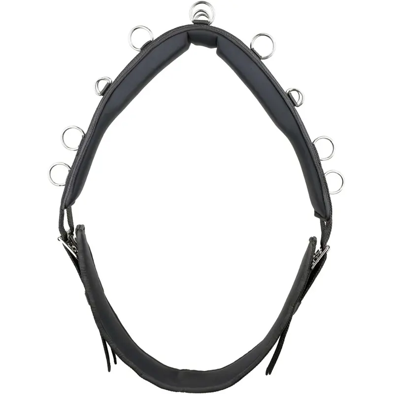 Kieffer Essentials Circle Black Longe Cavesson 1