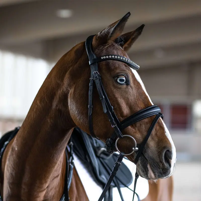 Kieffer Essentials Xia Black Bridle 1