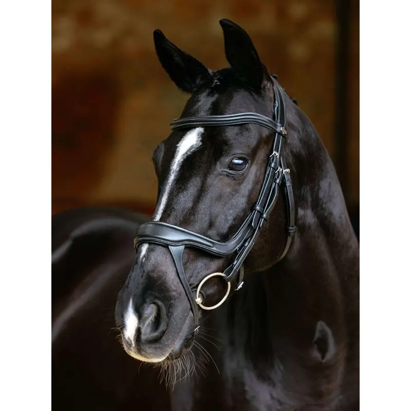 Lemieux Arika Split Noseband Bridle In Black 1
