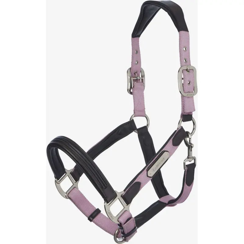 Lemieux Capella Bridle – Soft Pastel Finish 1