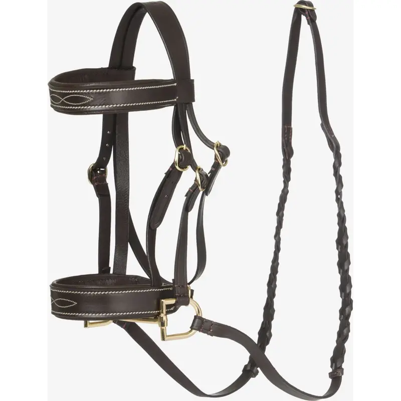 Lemieux Hobby Horse Hunter Bridle – Brown 1