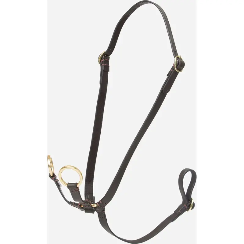 Lemieux Hobby Horse Running Martingale – Brown 1