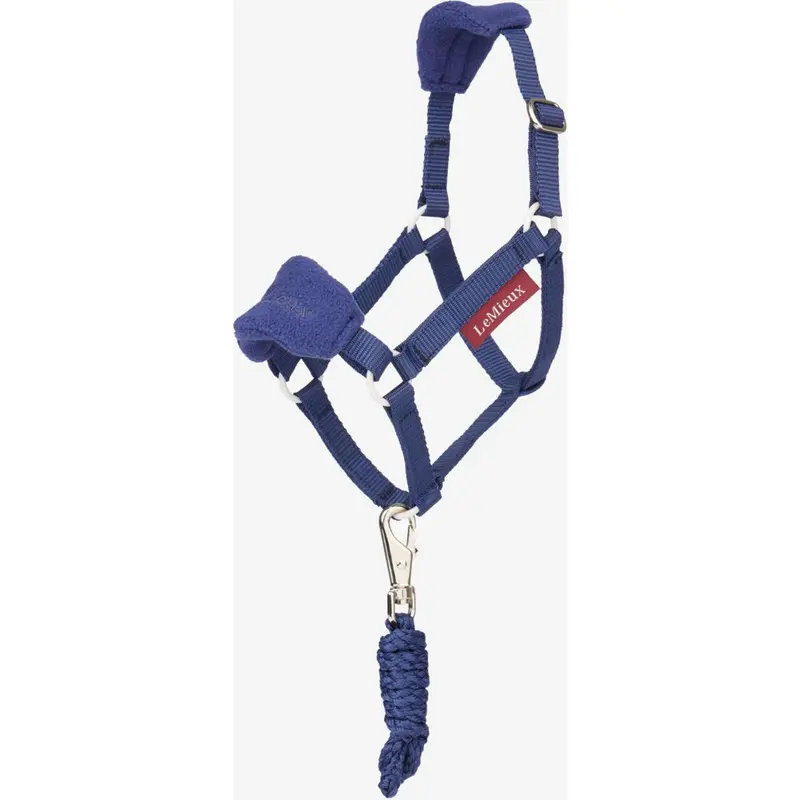 Lemieux Hobby Horse Vogue Bridle Set In Ink Blue 1
