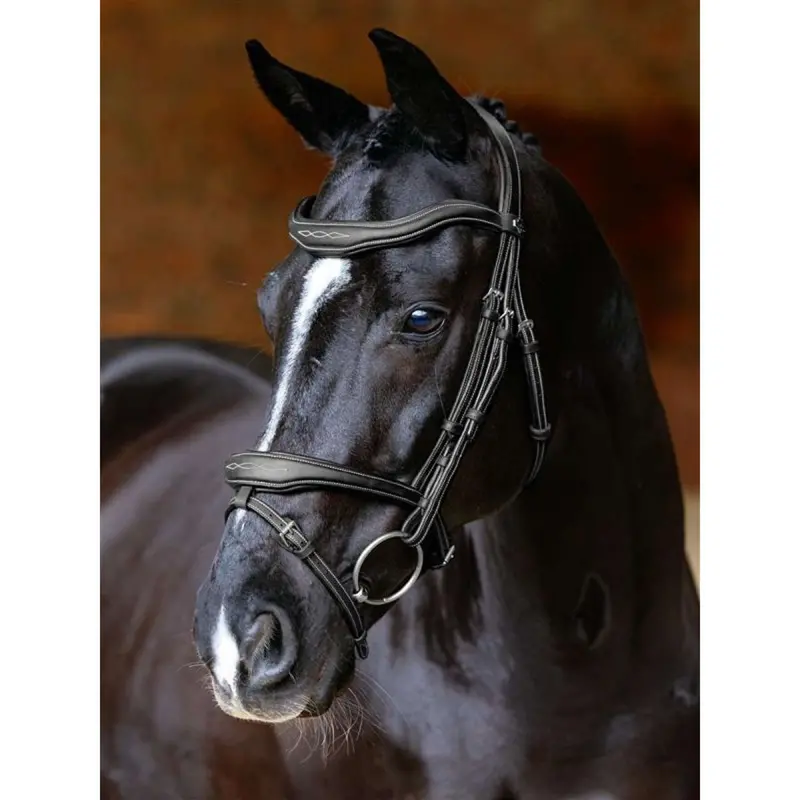 Lemieux Kudos Contour Flash Bridle – Black 1