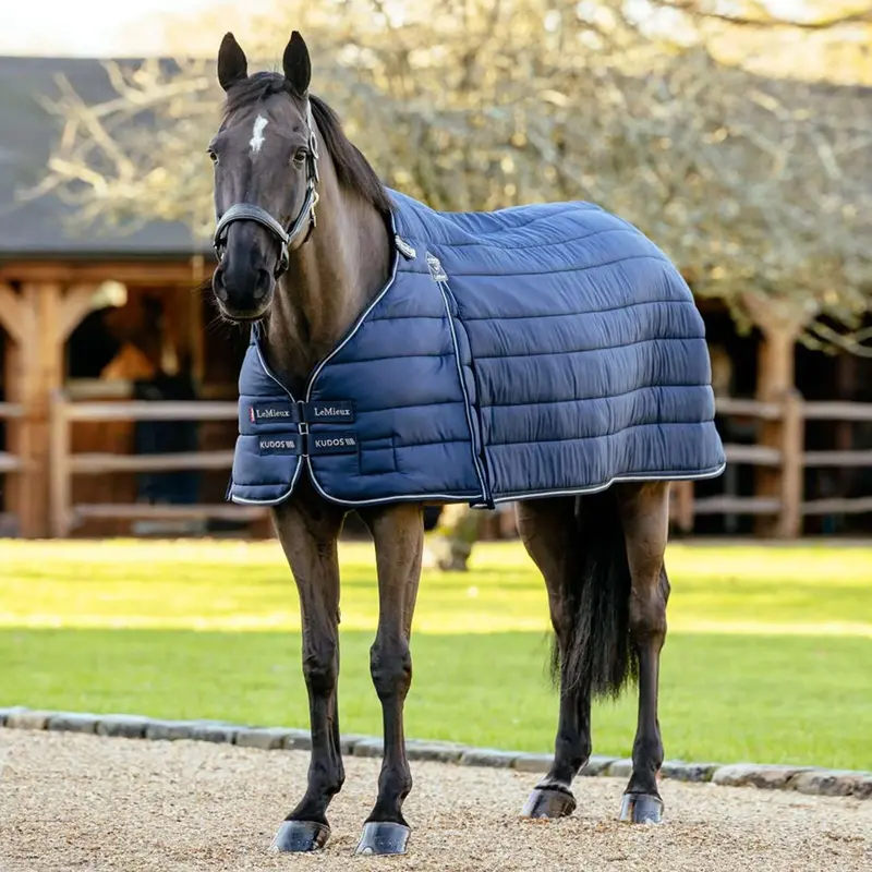 Lemieux Navy Kudos 200G Lightweight Stable Rug 1