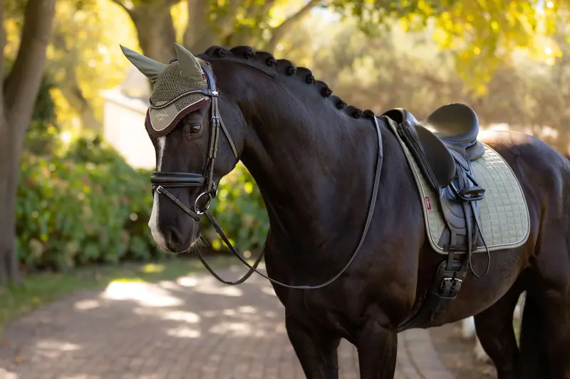 Lemieux Rosemary Collection Winter Saddle Pad – 2025/26 Edition 1