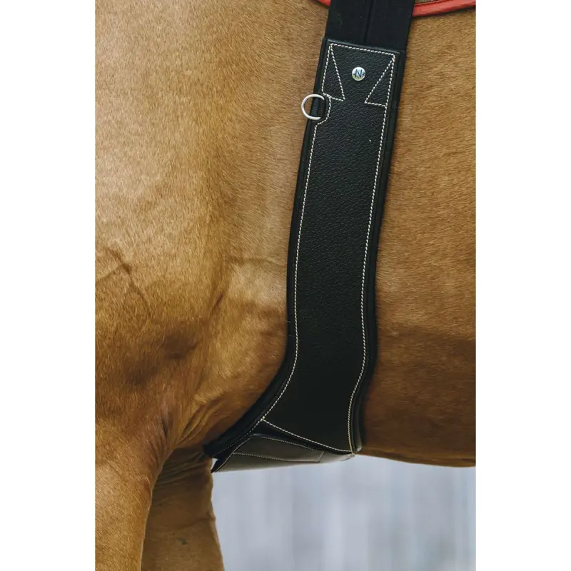 Norton Anatomical Magnetic Horse Halter In Black 1