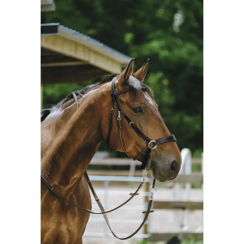 Norton Bitless Bridle – Black 1