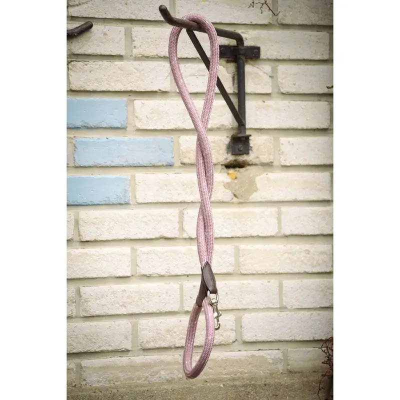 Pénelope Billie Rose-And-White Dog Leash 1