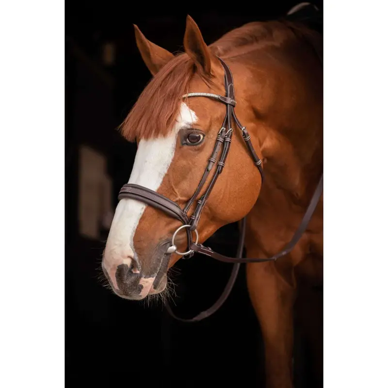 Pénélope Daily Crystal Bridle In Havana Brown 1